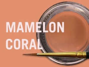 MiYO Mamelon высоко опаковый краситель с низкой флюоресцентностью Coral, 4 г 0867 , Jensen Dental