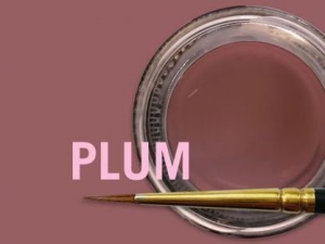 MiYO Gingiva Color внешний краситель для десны Plum, 4 г 0884, Jensen Dental