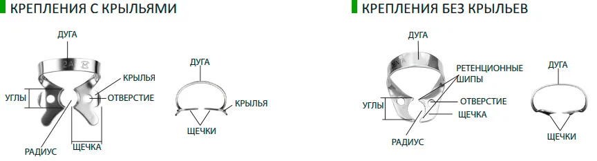 Раббердам Медента
