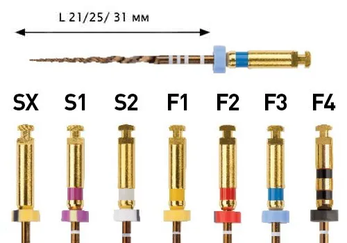 protep_M_01.jpg protep_M_01.jpg