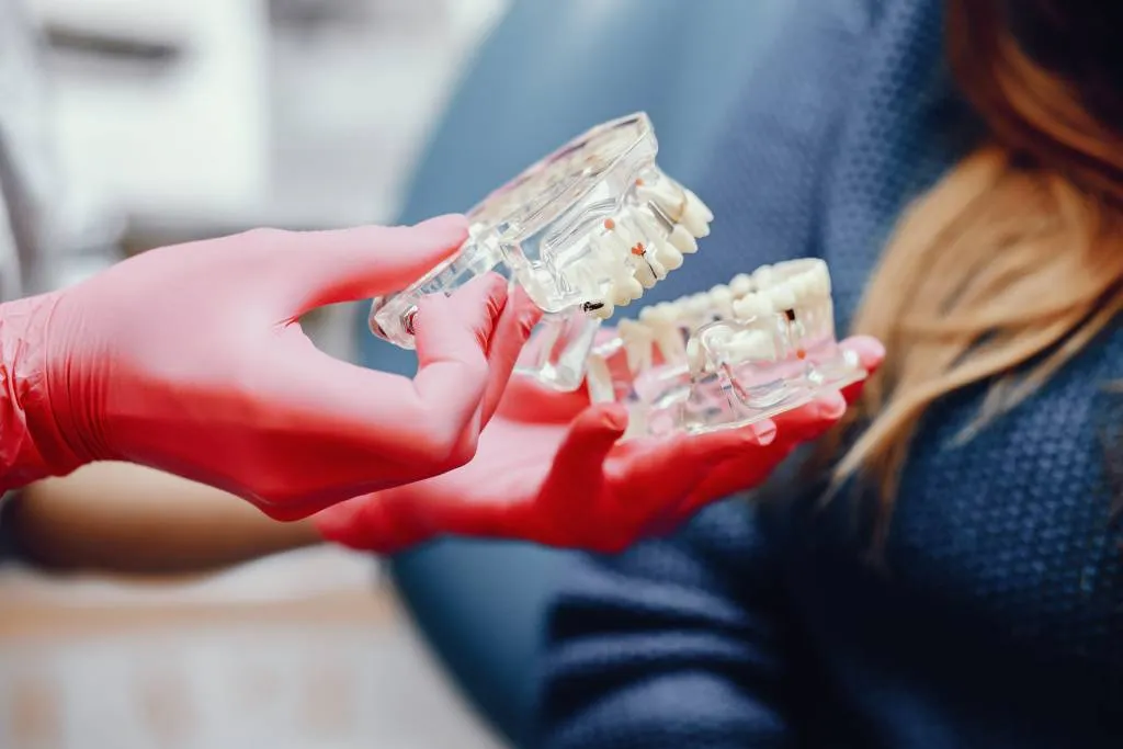 artificial-jaw-dentist-s-office.jpg artificial-jaw-dentist-s-office.jpg