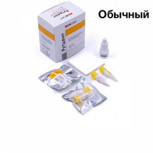 Рутдент порошок, (20 пак.х 0,3гр), № ТД-008-11-6.0.20, SM DMT