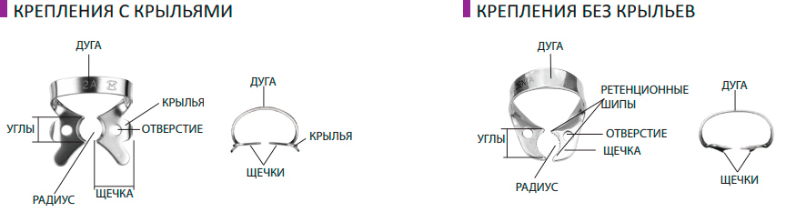 Раббердам Медента
