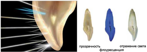 G-aenial отражение света