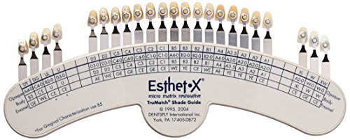 Esthet-X Dentsply