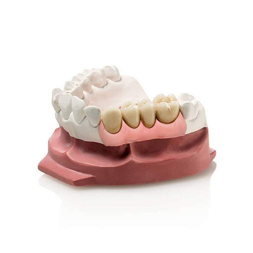 Десневая маска Гингифаст эластик (Gingifast-Elastic), 2x50мл+10мл, С401500, Zhermack